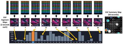 Visualization of electrographic flow fields of increasing complexity and detection of simulated sources during spontaneously persistent AF in an animal model